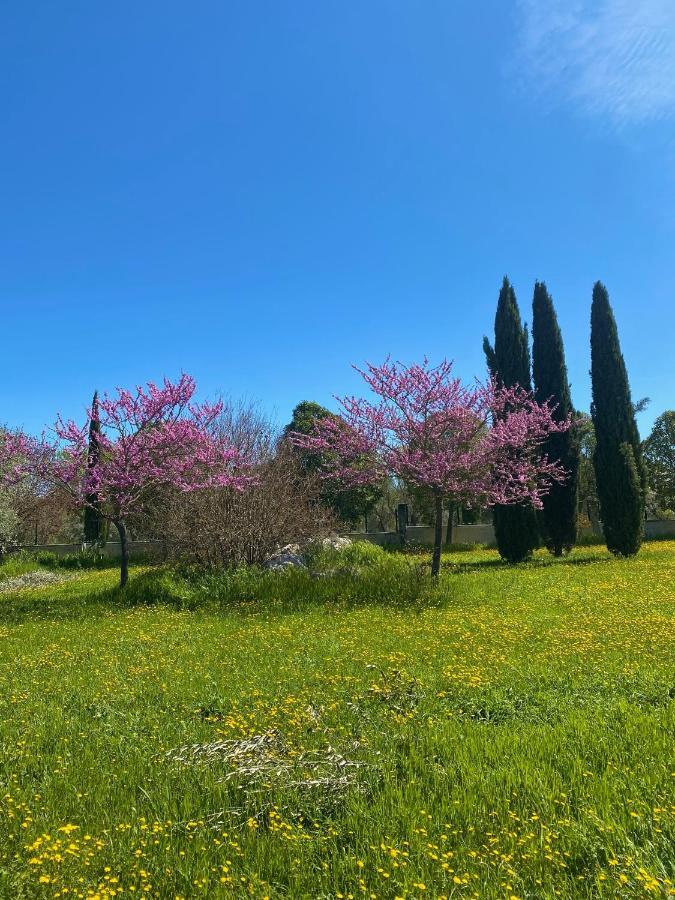 Agriturismo Colle Igino Matera Exterior photo