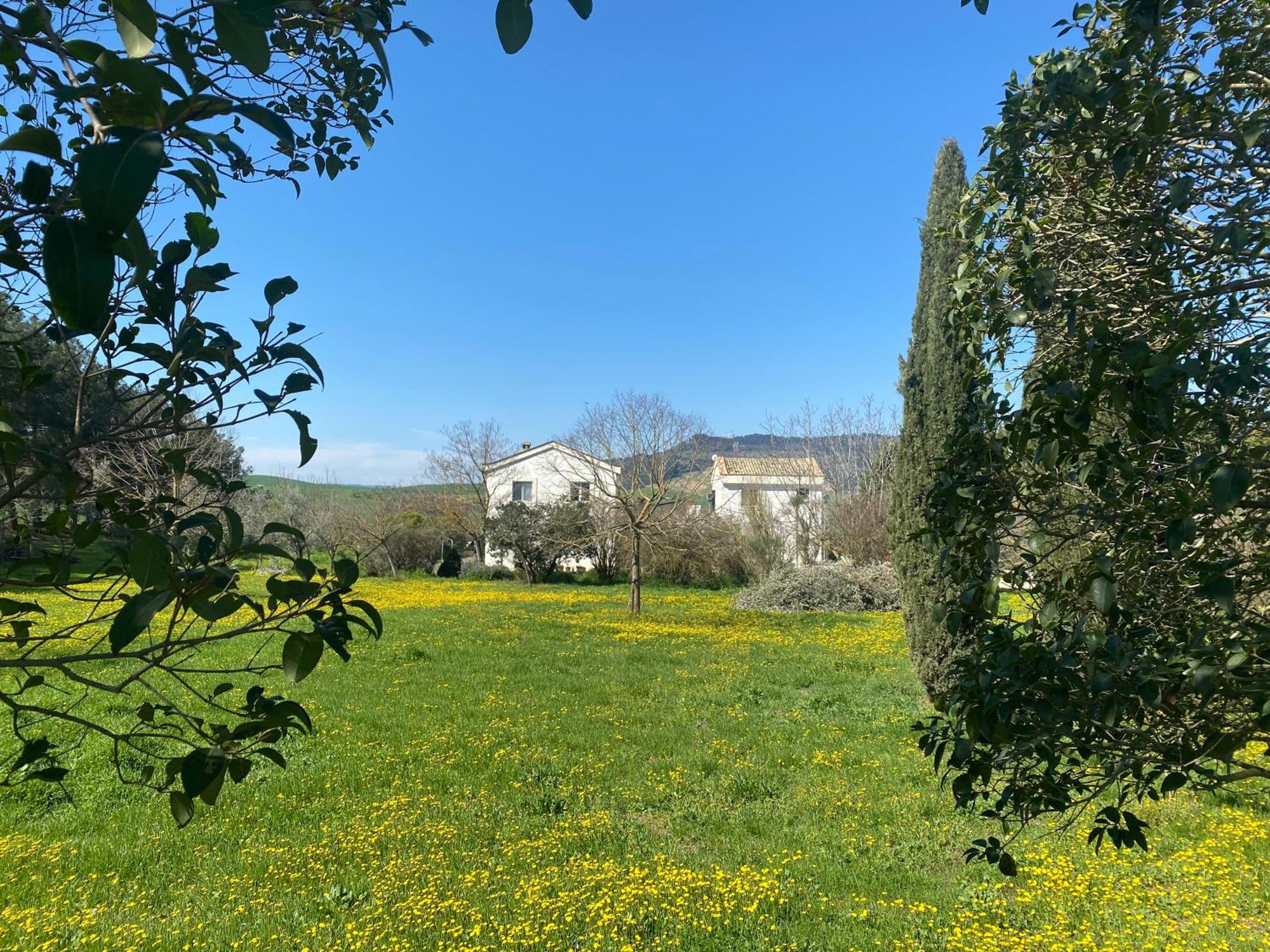 Agriturismo Colle Igino Matera Exterior photo