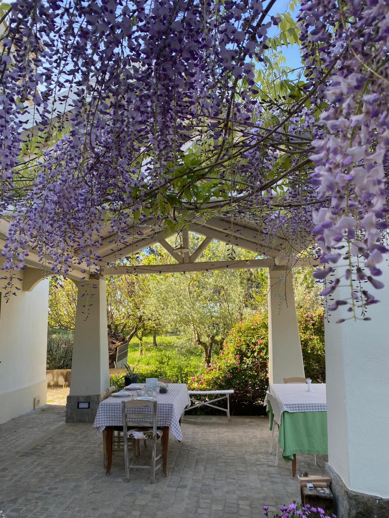Agriturismo Colle Igino Matera Exterior photo