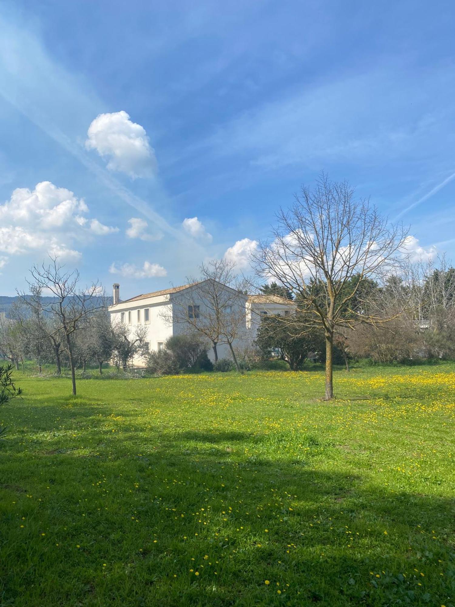 Agriturismo Colle Igino Matera Exterior photo